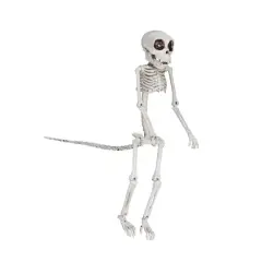 Hello Honey&reg; 23.5" Natural Plastic Monkey Skeleton D&eacute;cor