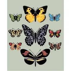 8" x 10" Butterflies Paint-by-Number Kit with Wood Display Hanger by Artist's Loft&reg;
