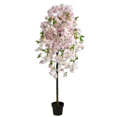 5ft. Potted Cherry Blossom Tree