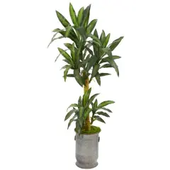5.5ft. Yucca Plant in Copper Trimmed Metal Planter