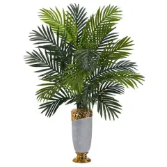 3ft. Areca Palm Plant in Designer Planter