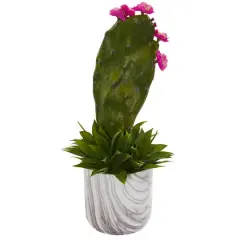 17" Cactus & Agave Succulent Plant in Marble Planter