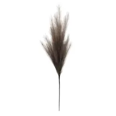 42" Light Brown Pampas Grass Stem by Ashland&reg;