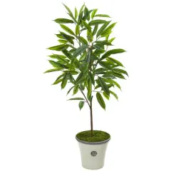 4ft. Ficus in Decorative Planter