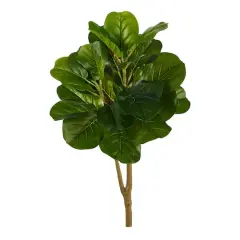 2.5ft. Fiddle Leaf Fig Tree