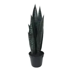19" Potted Snake Plant by Ashland&reg;