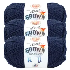3 Pack Lion Brand&reg; Local Grown Yarn Liberty