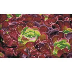 Diamond Dotz&reg; Squares Intermediate Succulents Diamond Facet Art Kit