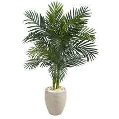 4.5ft. Golden Cane Palm Tree in Oval Planter