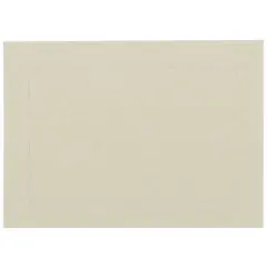 JAM Paper 3.5" x 4.875" Ivory Panel Blank Flat Note Cards