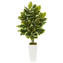 4ft. Variegated Rubber Leaf Tree In White Tower Vase