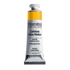 Williamsburg&reg; Artist Oil Colors, 37mL Cadmium Yellow Medium