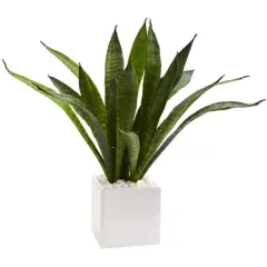 18" Snake Plant in White Planter