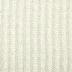 Charles Craft&reg; Gold Standard&reg; 14 Count Antique White Aida Cross Stitch Fabric, 20" x 24"