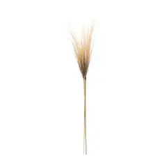 41" Grass Plume Bundles, 2ct.