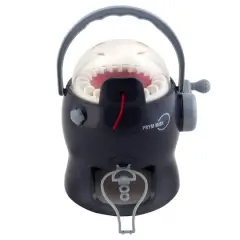 $product['description']['title']}