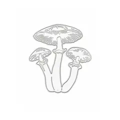 Mushroom Trio Cutting Die by Recollections&trade;