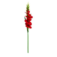 45" Red Gladiolus Flower Stems, 3ct.