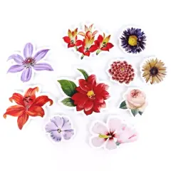 Vinyl Diecut Flower Sticker Set by Recollections&trade;