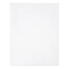 Clear Plastic Canvas by Loops & Threads&reg;, 10ct.