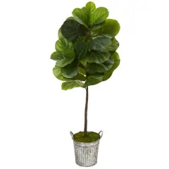 4ft. Fiddle Leaf Tree in Vintage Metal Pail