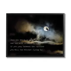 Stupell Industries Witch Flying By Moon Framed Giclee Art Black