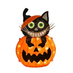 23'' Pre-Lit Pumpkin and Black Cat Halloween D&eacute;cor