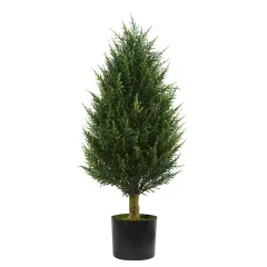 3ft. Potted Cypress Tower Tree