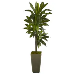 4.5ft. Dracaena Plant in Green Planter