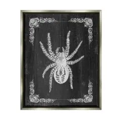 Stupell Industries Black & White Spider Framed Floater Canvas Wall Art Gray