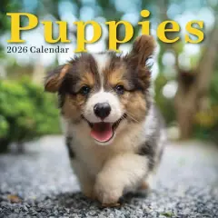 2026 Puppies Wall Calendar