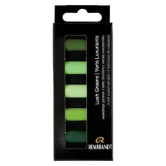 Rembrandt 5 Color Lush Greens Half Stick Soft Pastel Set