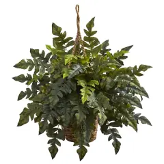 2ft. Holly Fern Hanging Basket
