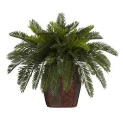 19" Double Cycas with Vase
