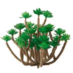 Flora Bunda&reg; Mini Succulent Pick, 6ct.