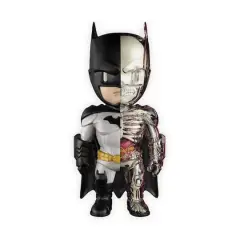 4D&trade; XXRAY DC Justice League Batman Model