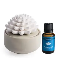 Airom&eacute; Succulent Porcelain Passive Diffuser