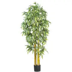 6ft. Potted Big Bamboo Tree 