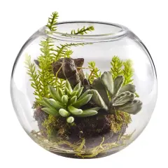 8" Mix Succulent Garden in Glass Vase