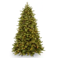 7.5ft. Pre-Lit PowerConnect&trade; Princeton Deluxe Fraser Fir Artificial Christmas Tree, Dual Color&reg; LED Lights