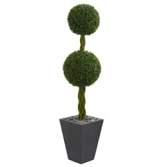 5ft. Double Ball Boxwood Topiary Tree in Slate Planter