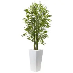 5ft. UV Resistant Bamboo Tree in White Planter
