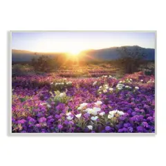 Stupell Industries Dune Wildflowers at Sunset Framed Wall Art