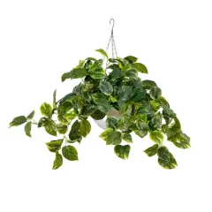 24" UV Resistant Artificial LED Pothos in White Hanging Basket