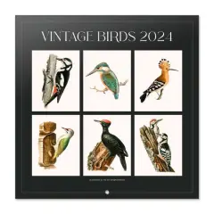 TF Publishing 2024 Vintage Birds Bilingual Wall Calendar