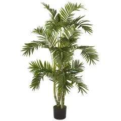 4ft. Potted Areca Palm Tree