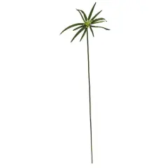 45" Green Cyperus Spray, 12ct.