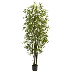 7ft. Potted Green Bamboo Tree