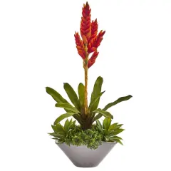 2ft. Tropical Bromeliad & Agave Plant in Gray Planter