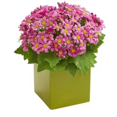 11" Daisy Arrangement in Green Vase Mauve